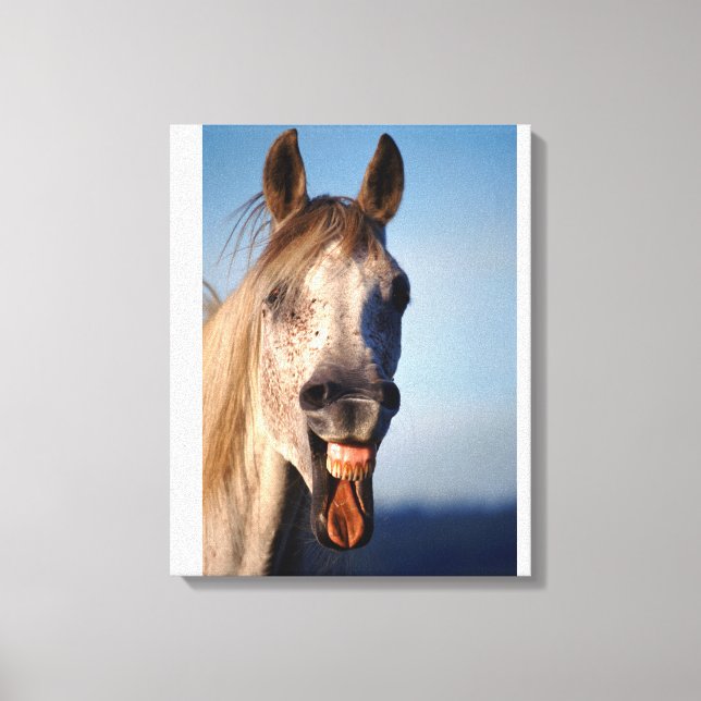 laughing horse canvas print (Front)