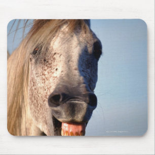 laughing horse mouse pad