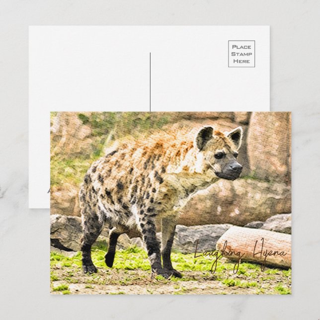 Laughing Hyena Postcard (Front/Back)