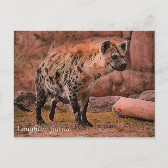 Laughing Hyena：Postcard Postcard (Front)