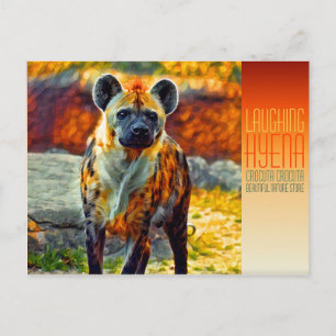 Laughing hyena [Postcard] Postcard