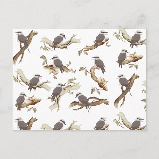 Laughing Kookaburra Australian Bird Eucalyptus  Holiday Postcard (Front)