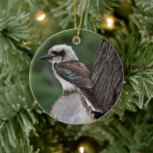 Laughing Kookaburra Bird Animal Tree Ceramic Tree Decoration (Tree)