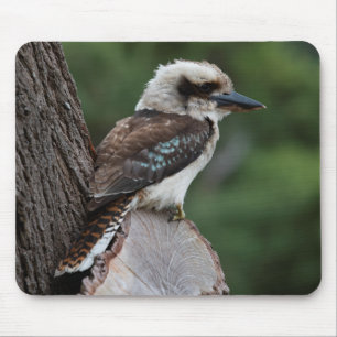 Laughing Kookaburra Mouse Pad