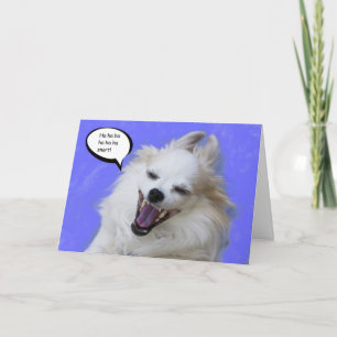 Laughing Long Hair Chihuahua by Focus for a Cause Card