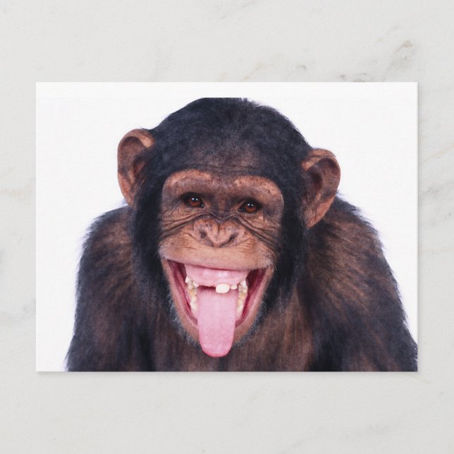 Laughing Monkey Postcard (Front)