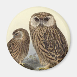 Laughing Owl Vintage Illustration Magnet
