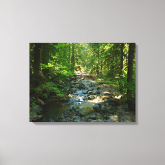 Laughingwater Creek at Mount Rainier National Park Canvas Print