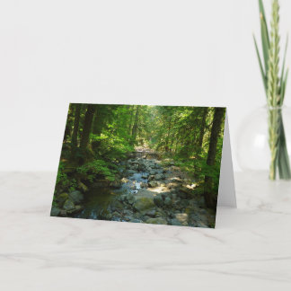 Laughingwater Creek at Mount Rainier National Park Card