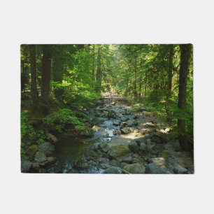 Laughingwater Creek at Mount Rainier National Park Doormat