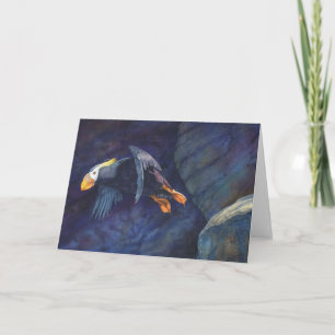 Launch, birders card