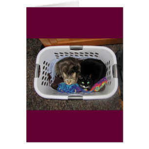Laundry Basket Kitties