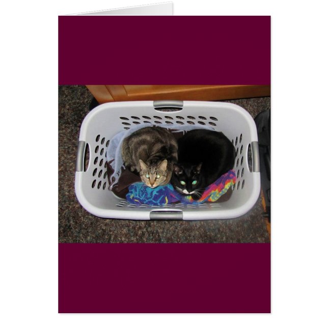 Laundry Basket Kitties (Front)