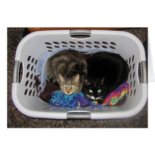 Laundry Basket Kitties