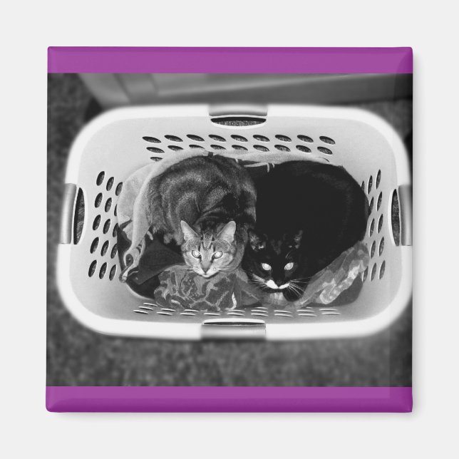 Laundry Basket Kitties Magnet (Front)