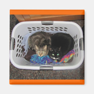 Laundry Basket Kitties Magnet