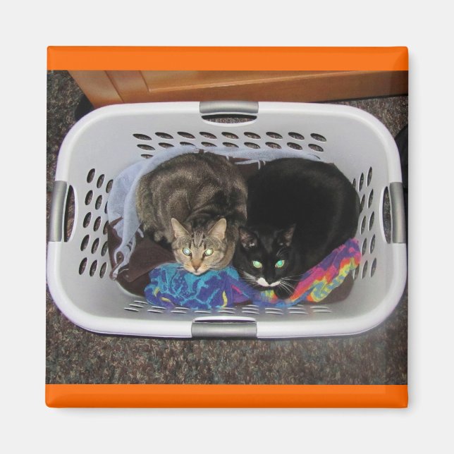 Laundry Basket Kitties Magnet (Front)