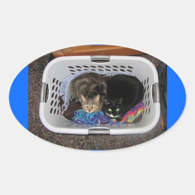 Laundry Basket Kitties Oval Sticker (Front)
