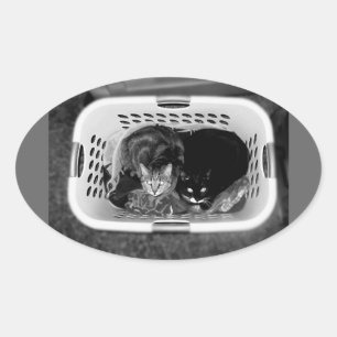 Laundry Basket Kitties Oval Sticker