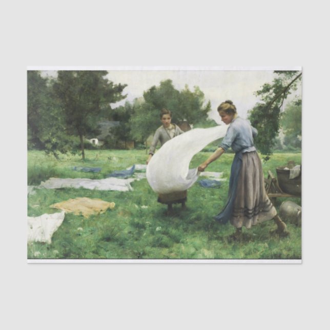 Laundry by Therese Cotard-Dupre Tissue Paper (Front)
