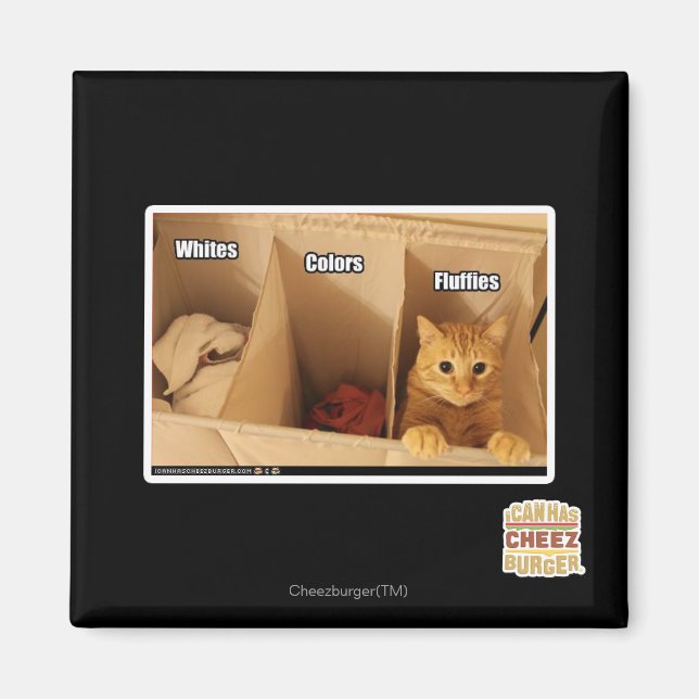 Laundry Cat Magnet (Front)
