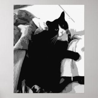Laundry Cat Poster