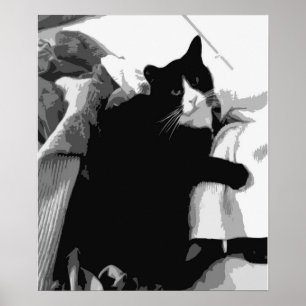 Laundry Cat  Poster