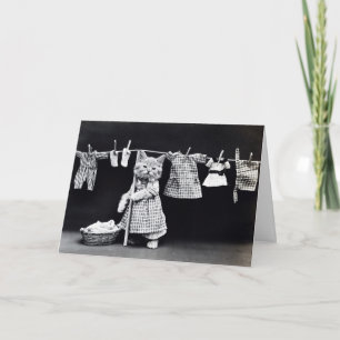 Laundry Day Kitty Card
