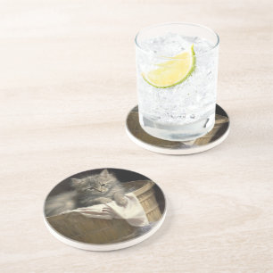 Laundry Or Playtime Gray Kitten Portrait Coaster