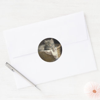 Laundry Or Playtime Grey Kitten Portrait Classic Round Sticker