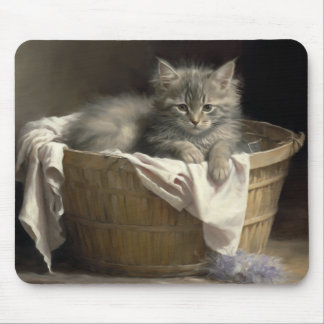 Laundry Or Playtime Grey Kitten Portrait Mouse Pad