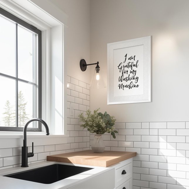 Laundry Room Poster (Creator Uploaded)