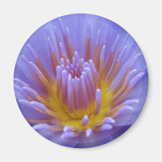 Laura Frase Magnet (Front)