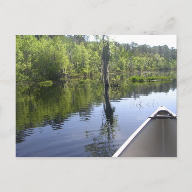 "LAURA S. WALKER STATE PARK" POSTCARD (Front)