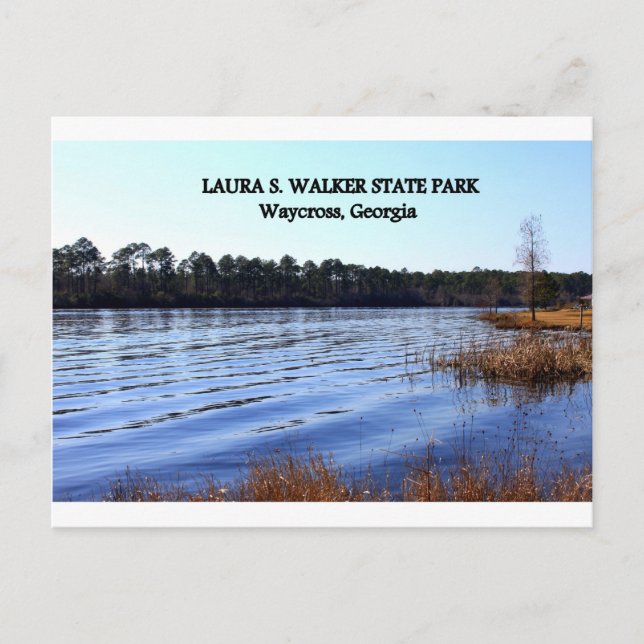 LAURA S. WALKER STATE PARK - Waycross, Georgia Postcard (Front)