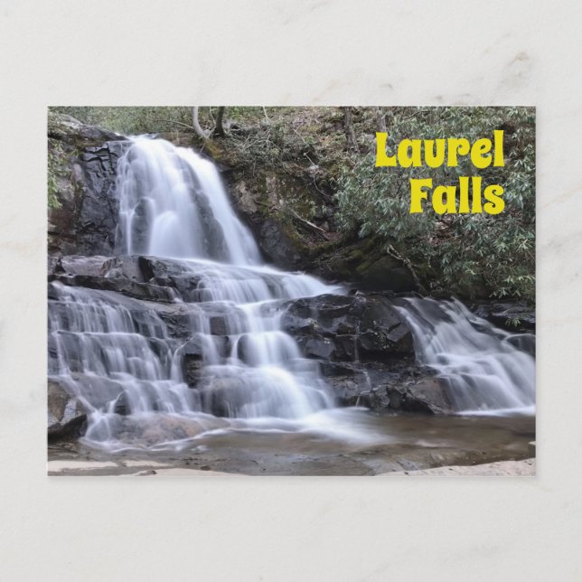 Laurel Falls in The Great Smoky Mountains Postcard (Front)