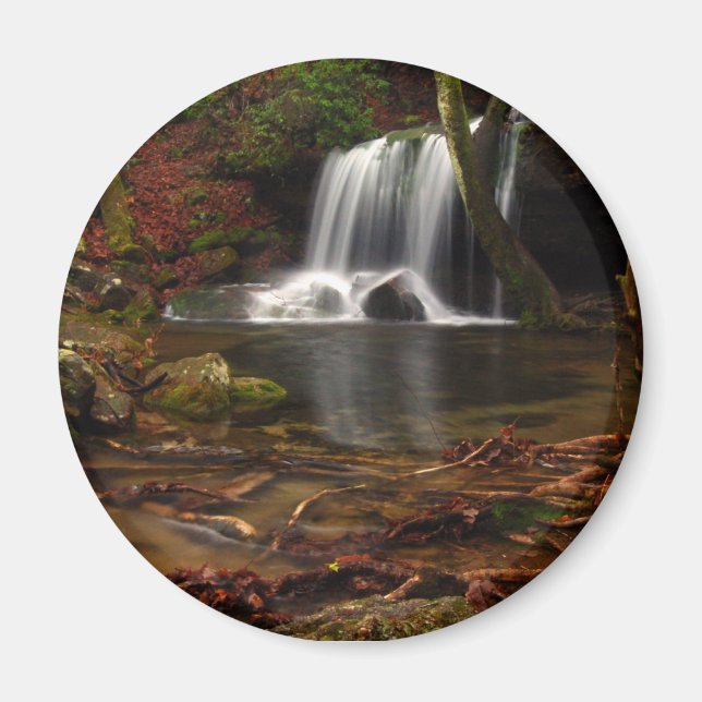 Laurel Falls Magnet (Front)