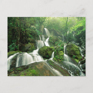 Laurel Falls, Tennessee Postcard