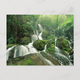 Laurel Falls, Tennessee Postcard