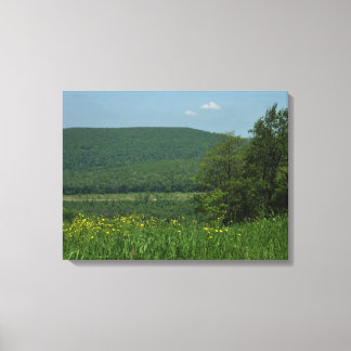Laurel Highlands Pennsylvania Summer Photography Canvas Print