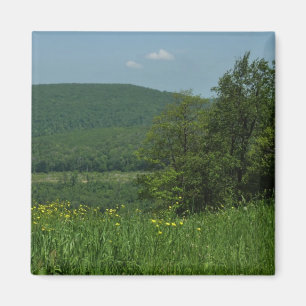 Laurel Highlands Pennsylvania Summer Photography Magnet