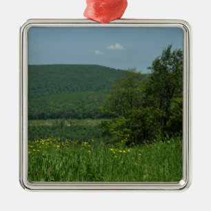 Laurel Highlands Pennsylvania Summer Photography Metal Tree Decoration
