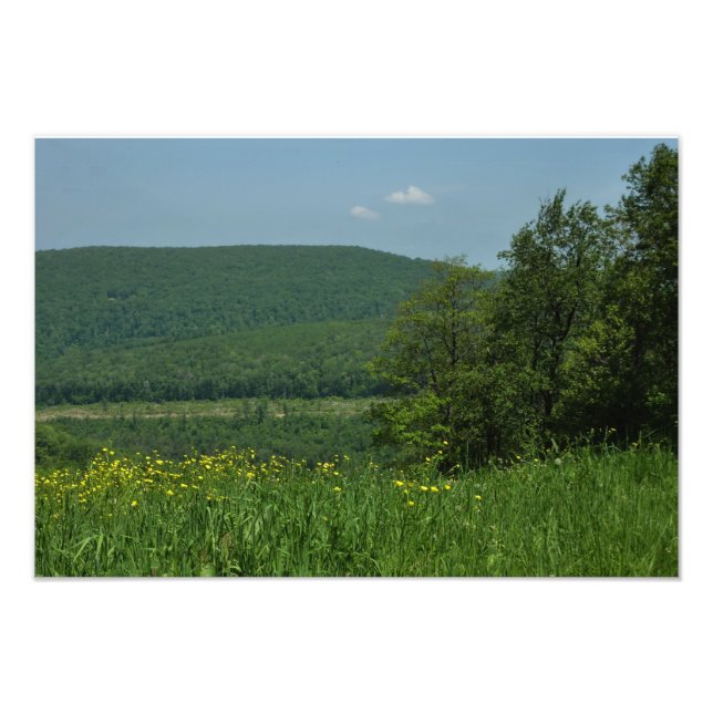 Laurel Highlands Pennsylvania Summer Photography Photo Print (Front)