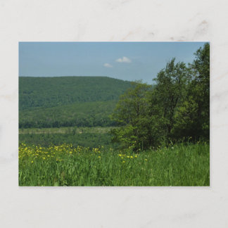 Laurel Highlands Pennsylvania Summer Photography Postcard