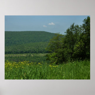 Laurel Highlands Pennsylvania Summer Photography Poster
