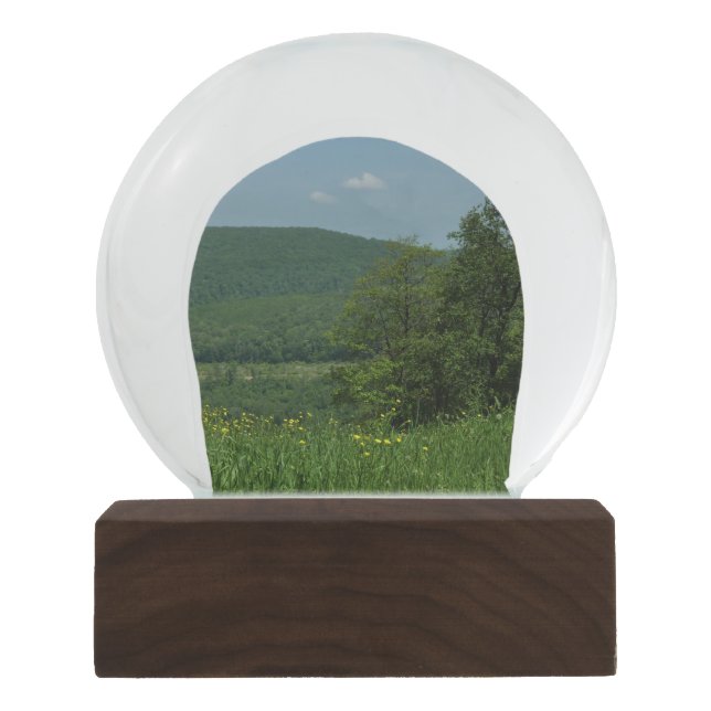 Laurel Highlands Pennsylvania Summer Photography Snow Globe (Front)