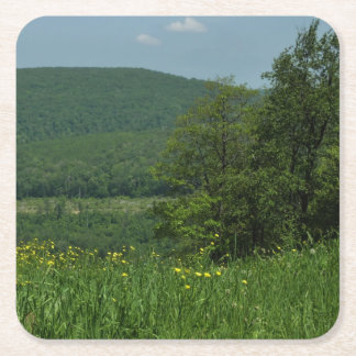 Laurel Highlands Pennsylvania Summer Photography Square Paper Coaster