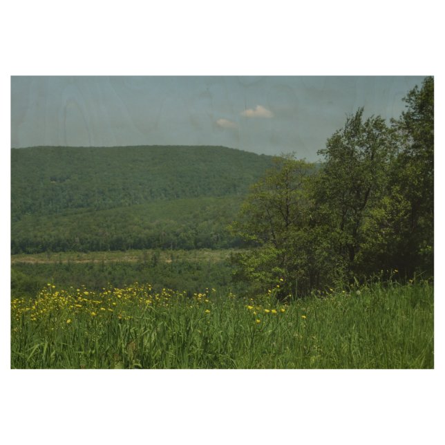 Laurel Highlands Pennsylvania Summer Photography Wood Poster (Front)