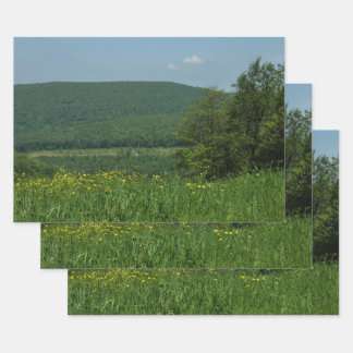 Laurel Highlands Pennsylvania Summer Photography Wrapping Paper Sheet