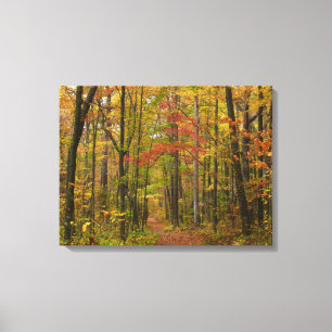 Laurel Hill Trail in Fall Canvas Print